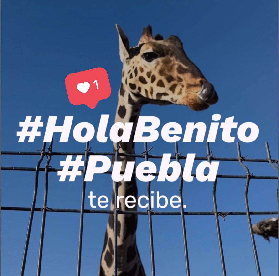 «Benito, Puebla te recibe»: Sergio Salomón
