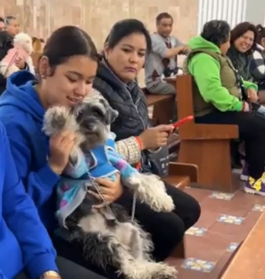 Poblanos celebran a San Antonio Abad, bendiciendo a sus mascotas