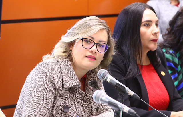 Garantizar derecho a la lactancia y licencia de maternidad para trabajadoras de la industria de la aviación: Julieta Vences 