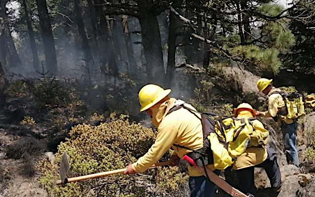 Brigadistas mitigan zona del incendio forestal en Tetela de Ocampo