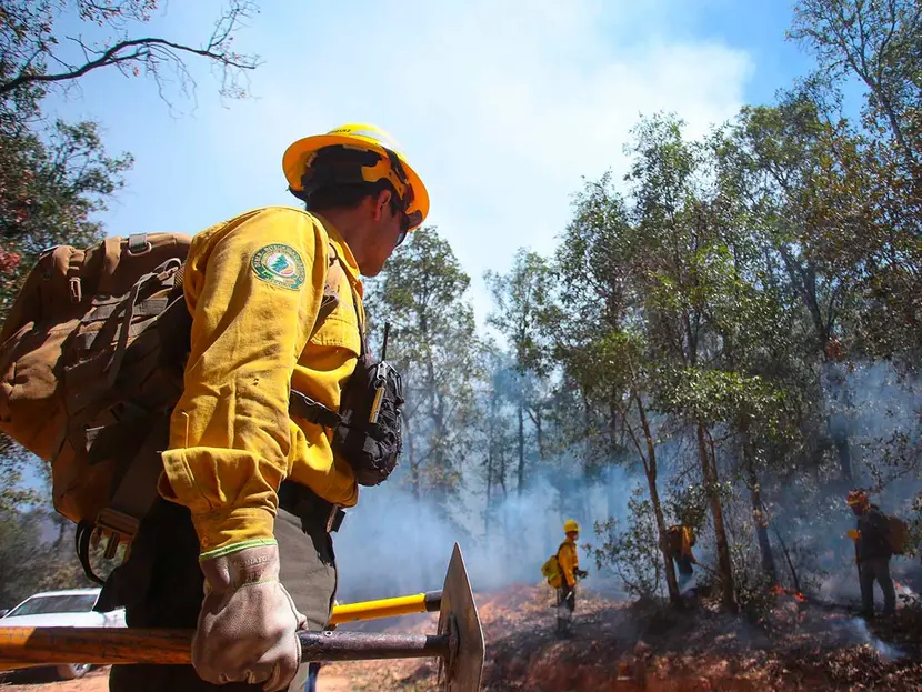 72 incendios forestales activos en 18 estados del país: Conafor