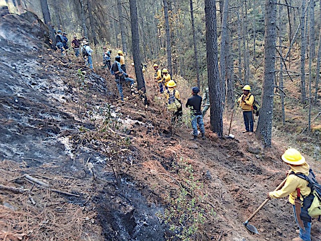 206 brigadistas lograron sofocar incendio forestal de Rancho Viejo
