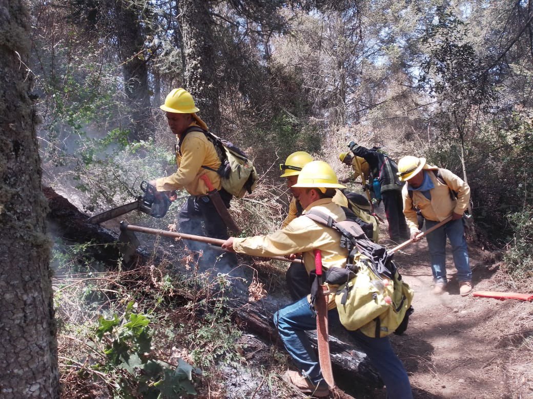 La solidaridad de cientos de manos logró sofocar los incendios de Libres y Coyomeapan