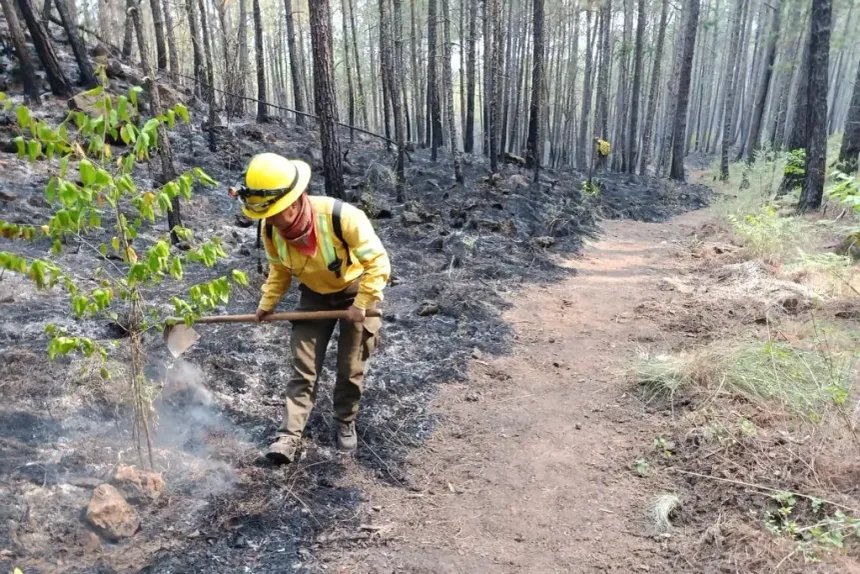 Suspenden clases en Xonotla y Yehuala por incendios forestales