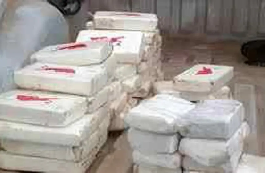 Semar asegura 330 kilos de cocaína
