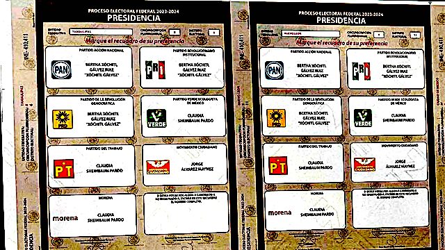 ¡Se roban auto y en su interior había boletas electorales!