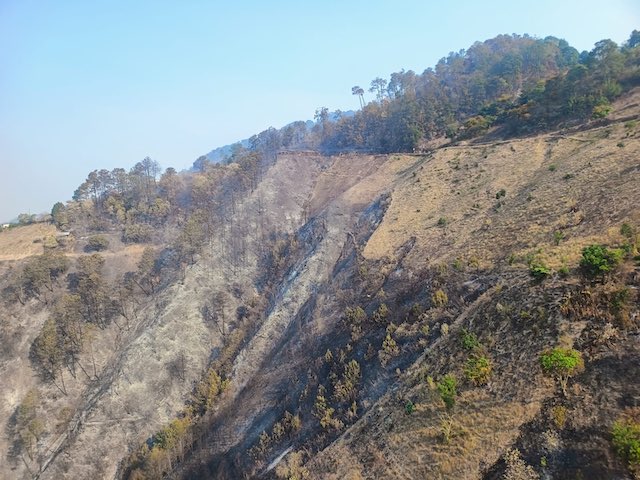 Logran sofocar incendio en Zacatlán