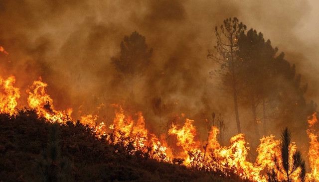 Incendio de grandes dimensiones en San Juan Cuautla