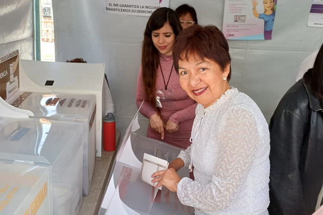 “Hermanarnos para luchar por la democracia”, dijo Lilia Cedillo al votar