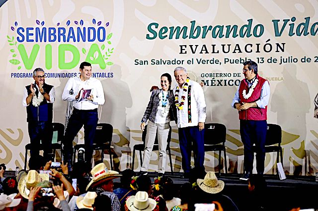 “Sembrando Vida genera patria”, dice Claudia Sheinbaum