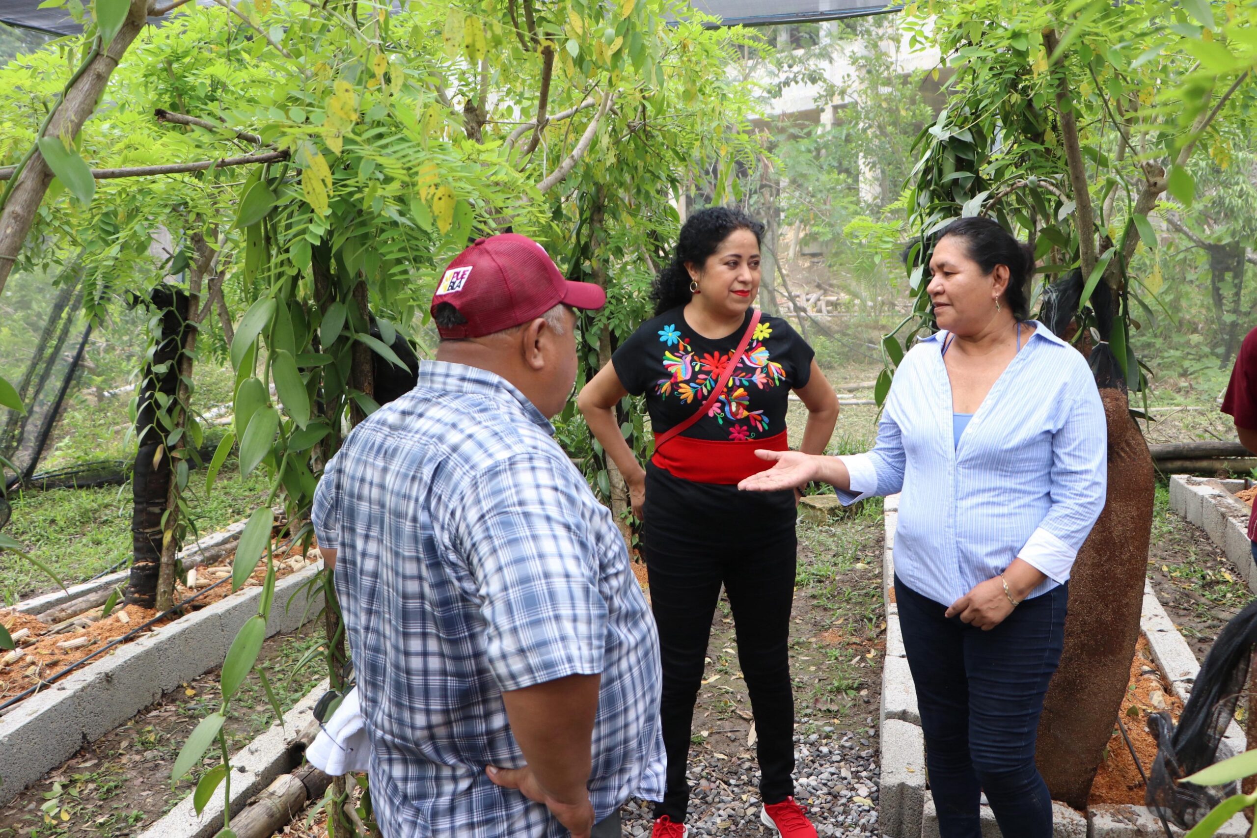 Potencializan Escuelas de Campo el trabajo, con acompañamiento técnico: SDR