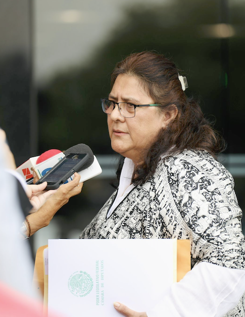 Se registró Rosario Orozco Caballero como diputada federal en San Lázaro