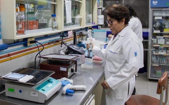 Desarrolla alimentos para males metabólicos