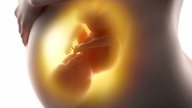 “Nada Qué Celebrar el 28 de Septiembre”,  dice Mujeres de México