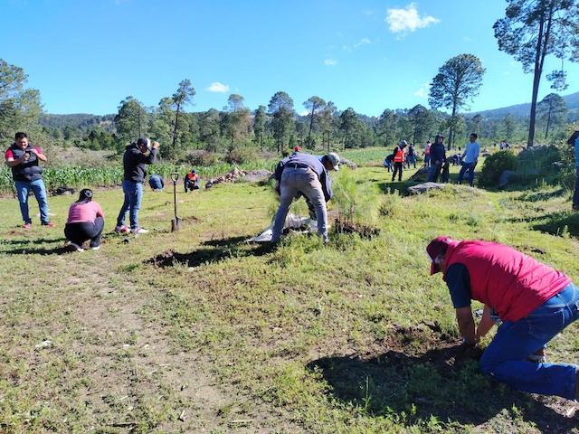 Granjas Carroll de México reforesta con 15 mil árboles el ejido Tenextepec
