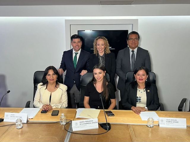 Diputada María de la Barreda,  preside Comisión de la Familia y Derechos de la Niñez
