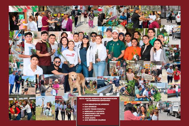 “Sembremos Esperanza” alcanza 26 mil 810 árboles plantados