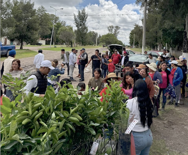 «Sembremos Esperanza ”: Armenta