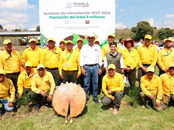Cumple gobierno de Sergio Salomón meta del plan reforestación