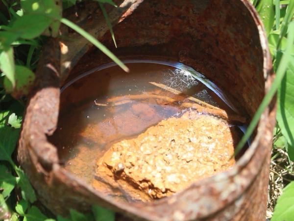 Tehuacán el municipio con más incidencia de dengue: Salud