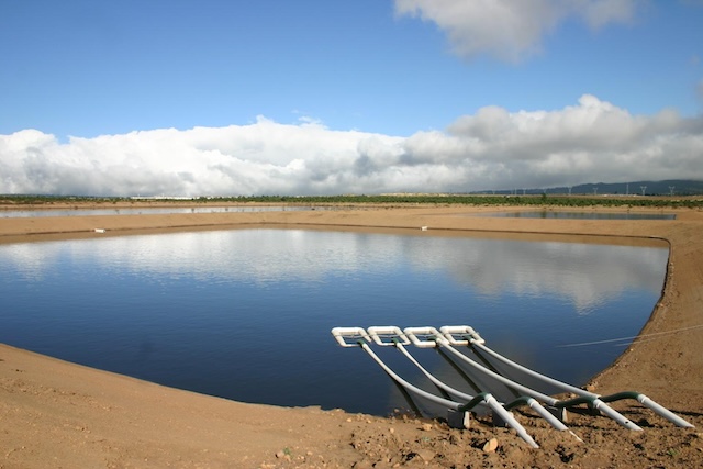 Agricultura Sustentable de Granjas Carroll reduce impacto ambiental en sus instalaciones