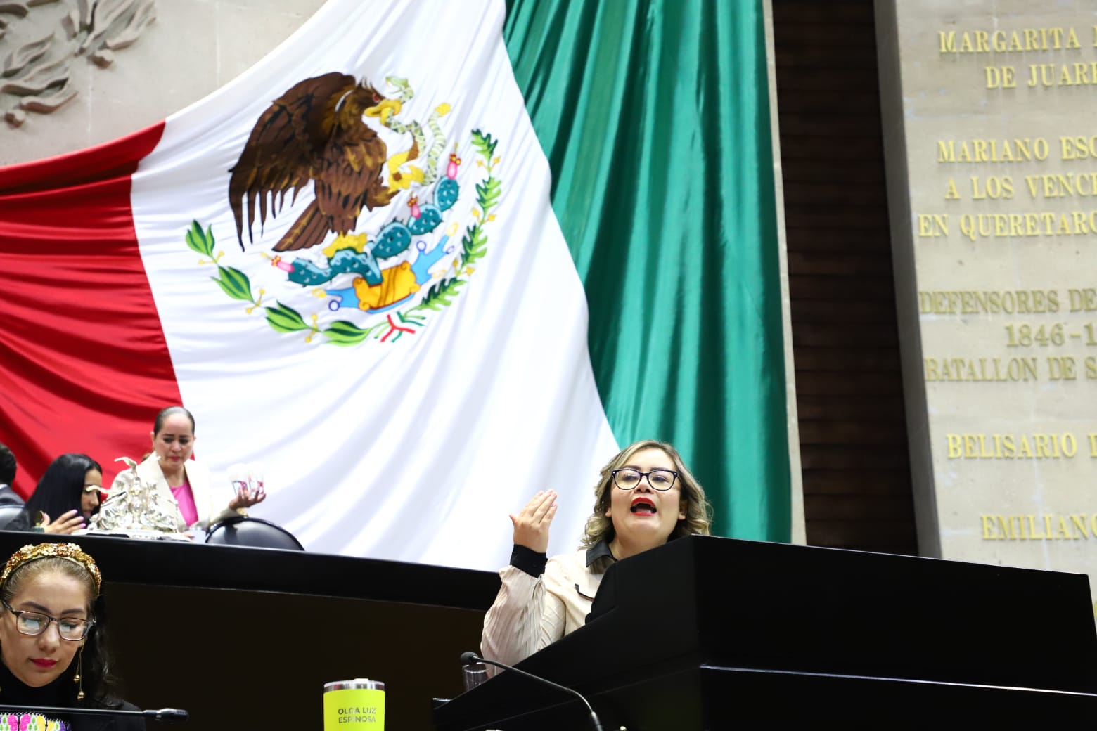 Diputada Julieta Vences se pronuncia en VS de desaparición de activista embarazada desaparecida
