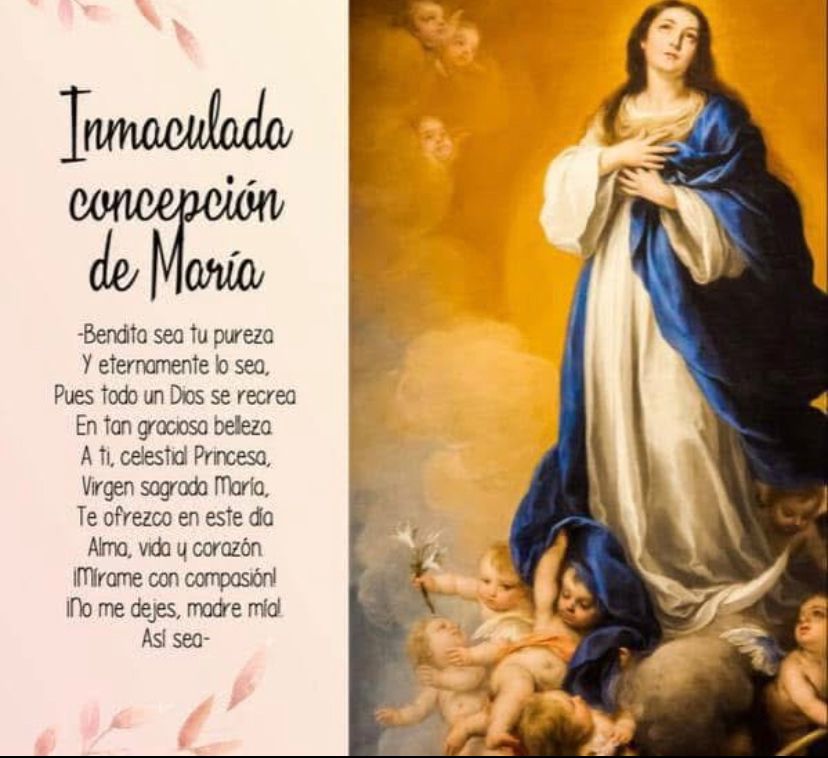 Purísima tenía que ser la madre de Jesús: Monseñor Víctor Sánchez