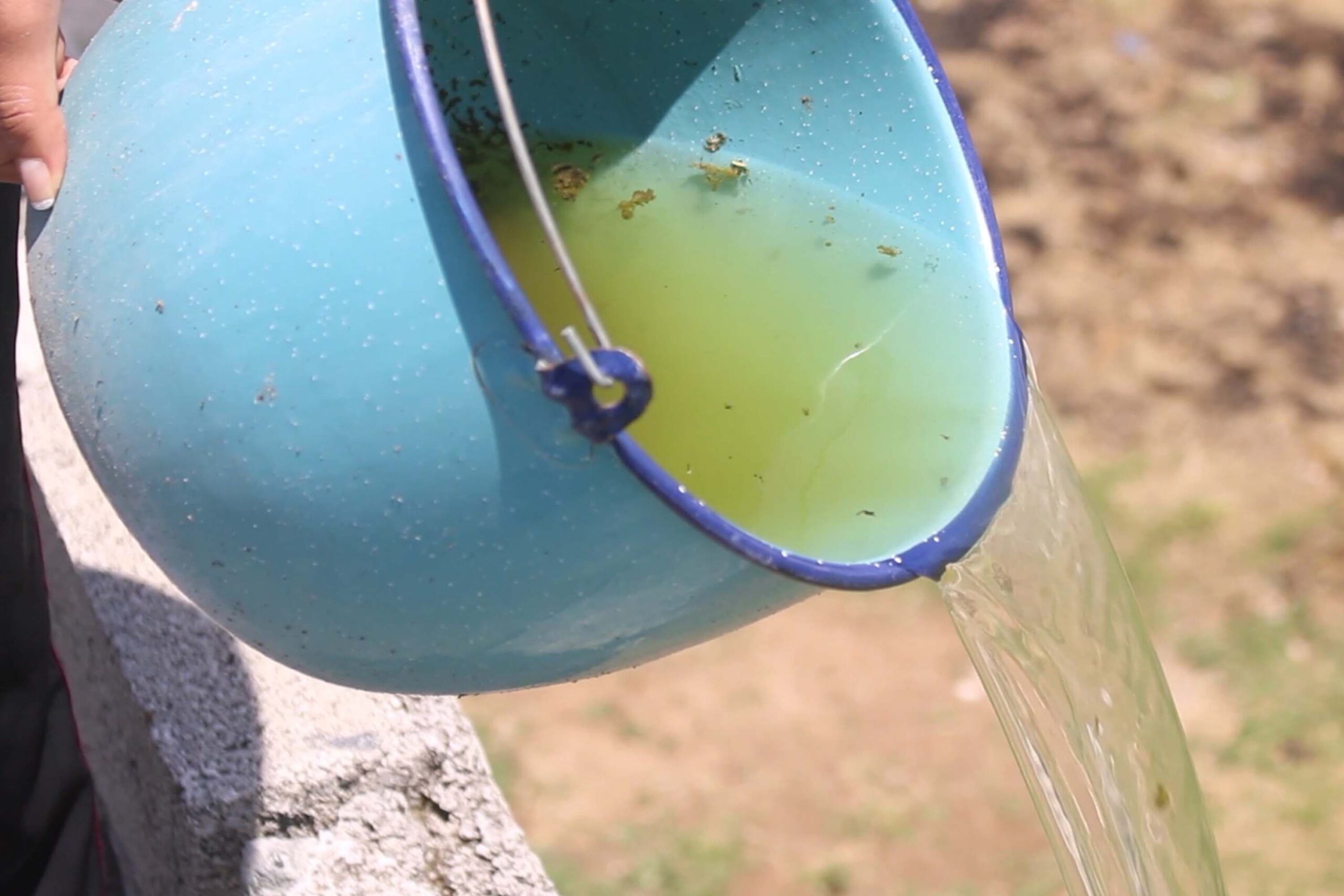 Puebla, tres contagios por dengue en las últimas 24 horas: Salud