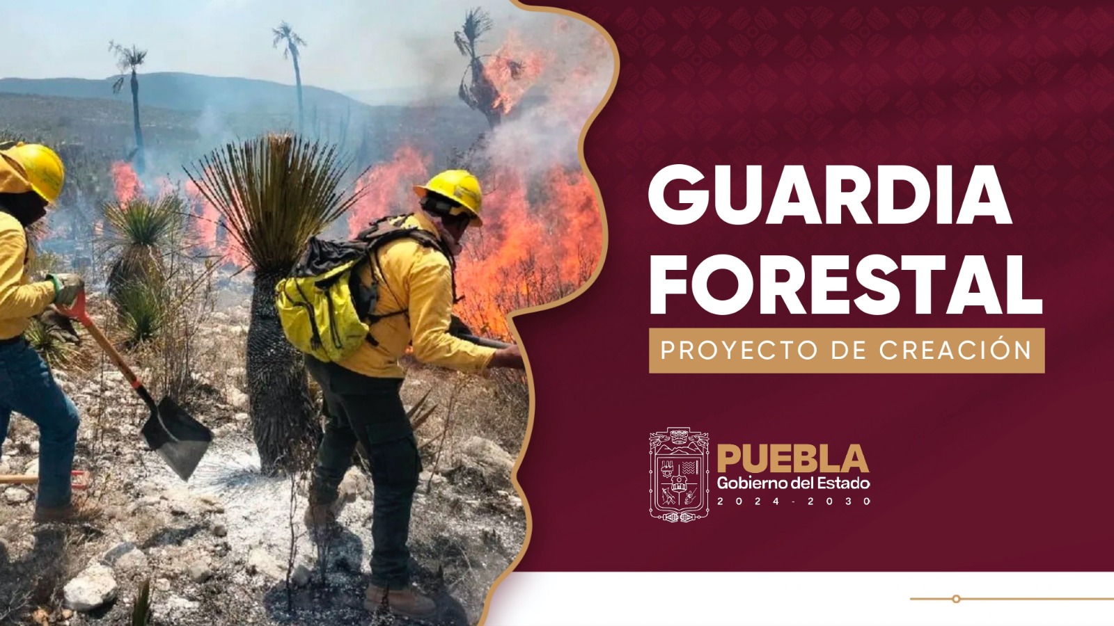 Guardia Forestal prometedora herramienta contra tala clandestina