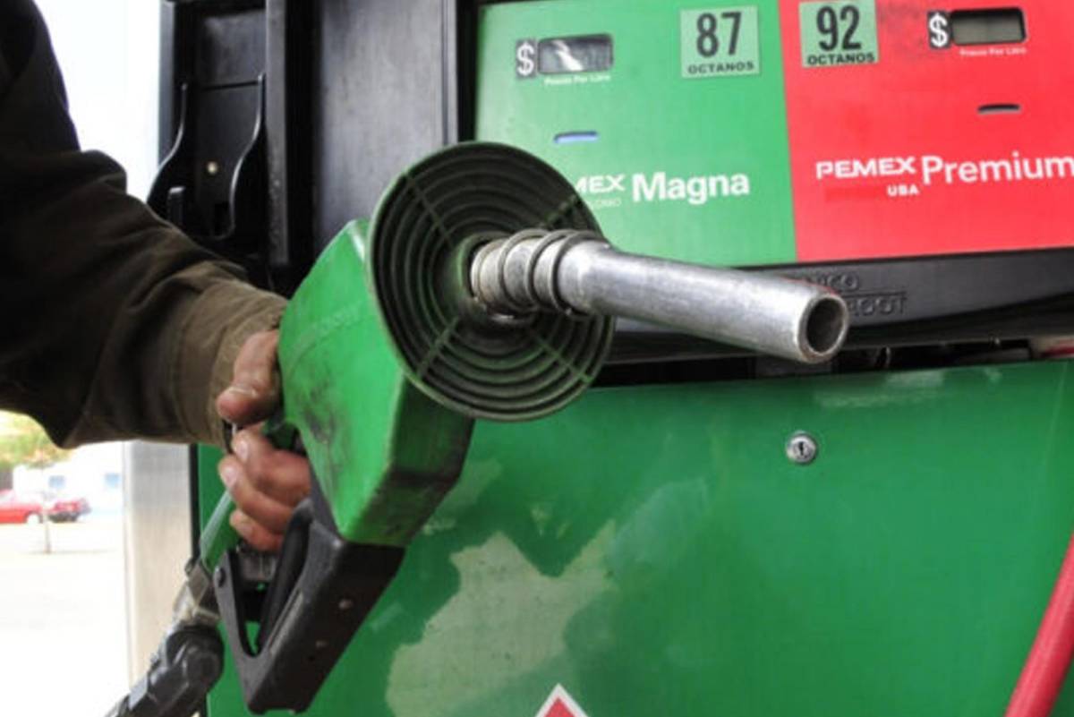 «No ha habido gasolinazos durante el sexenio de Sheinbaum»: PROFECO