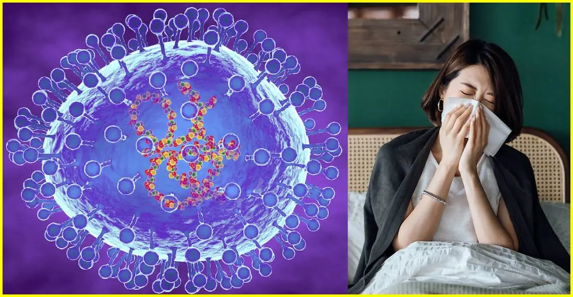 Fallecimiento por Metapneumovirus Humano en Puebla será ratificado por Epidemiología