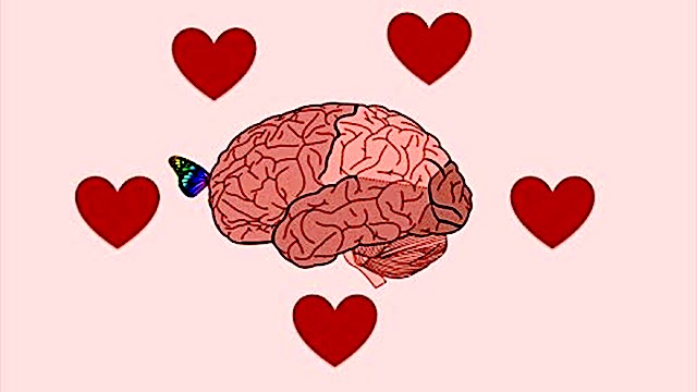 ¿Amor o lo que el cerebro nos cuenta?