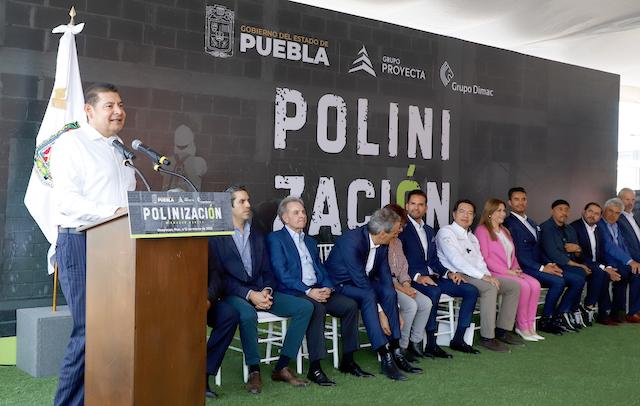 Mural monumental «Polinización», crea sentido de comunidad
