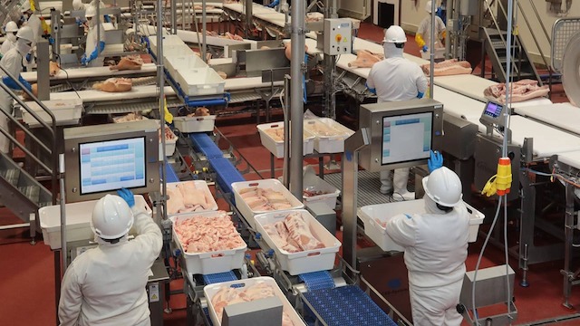 Planta Procesadora de Carne de Cerdo de Granjas Carroll cumple 6 años con altos estándares de calidad