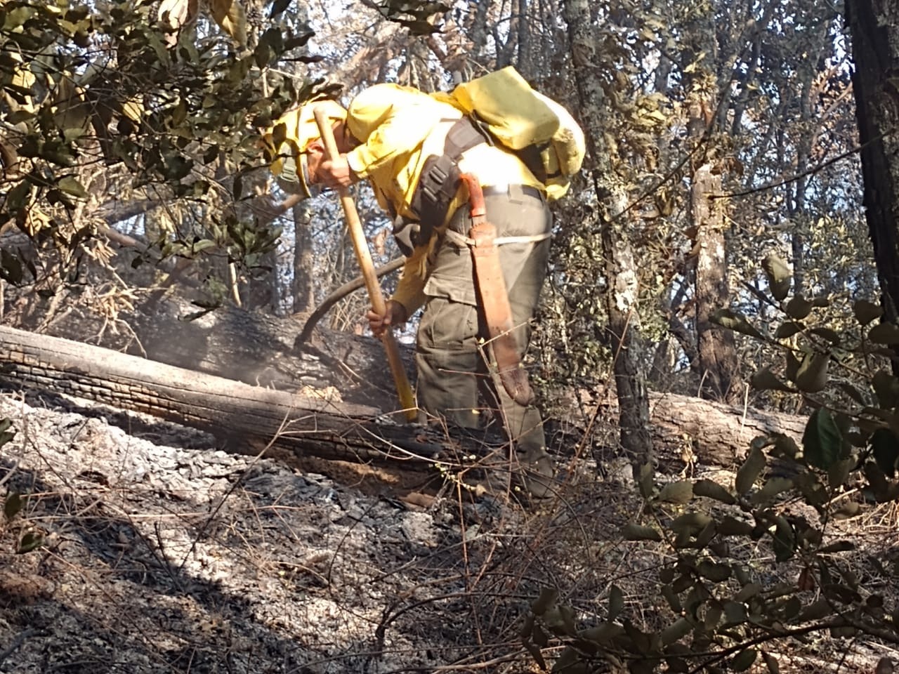 Incendios urbanos 222 y forestales 167.4 hectáreas afectadas, en lo que va del 2025
