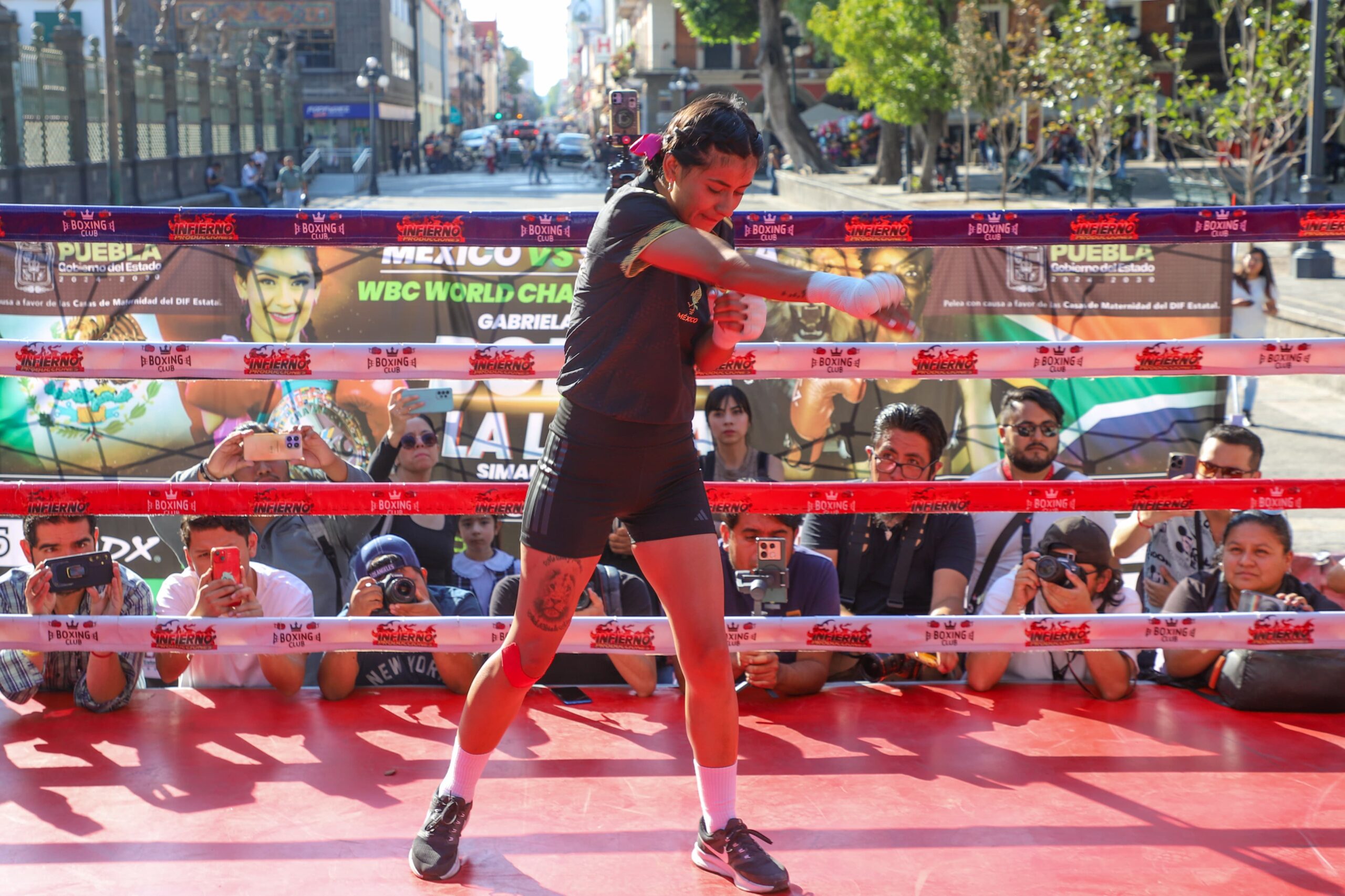 El 4 de abril la bonita Sánchez defenderá el cinturón plata del Consejo Mundial de Boxeo
