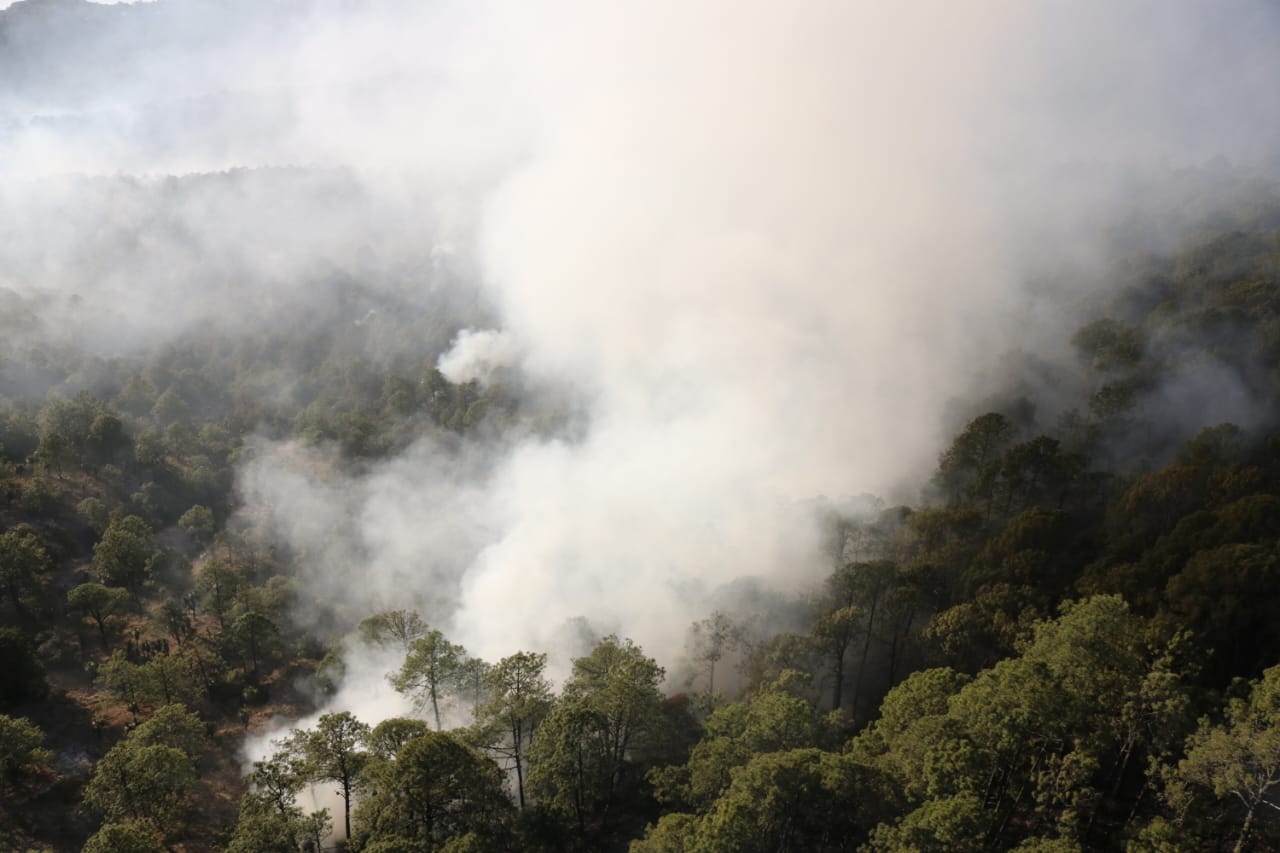 Combate inmediato y coordinado de incendios forestales en la zona Puebla-Tlaxcala