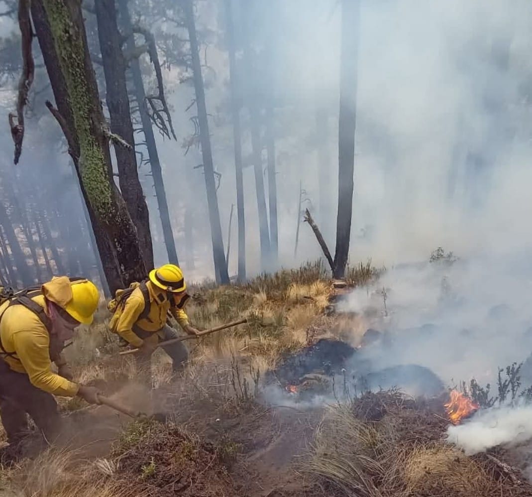 Incendio forestal  en Tlachichuca se combate en 2 frentes