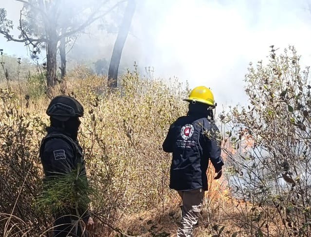Continúa gobierno estatal trabajos de combate de incendios forestales