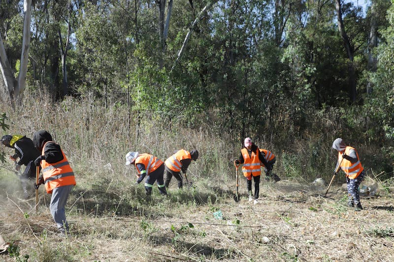 Gobierno de Armenta lleva 123 días limpiando a Puebla 