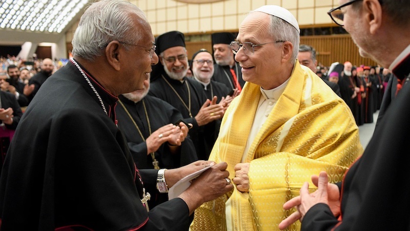Llamado del Papa León XIV por La Paz; dispuesto a ser mediador ante los conflictos globales