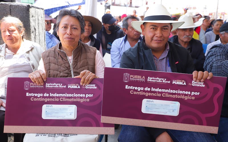 Por heladas atípicas, 185 productores reciben apoyo por 1.84 MDP