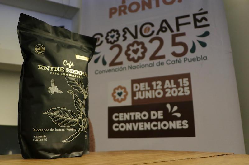 11 estados estarán en la Convención Nacional de Café 2025