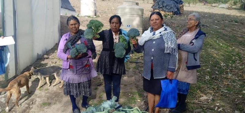 SEDIF desarrolla 47 proyectos productivos en zonas de alta marginación
