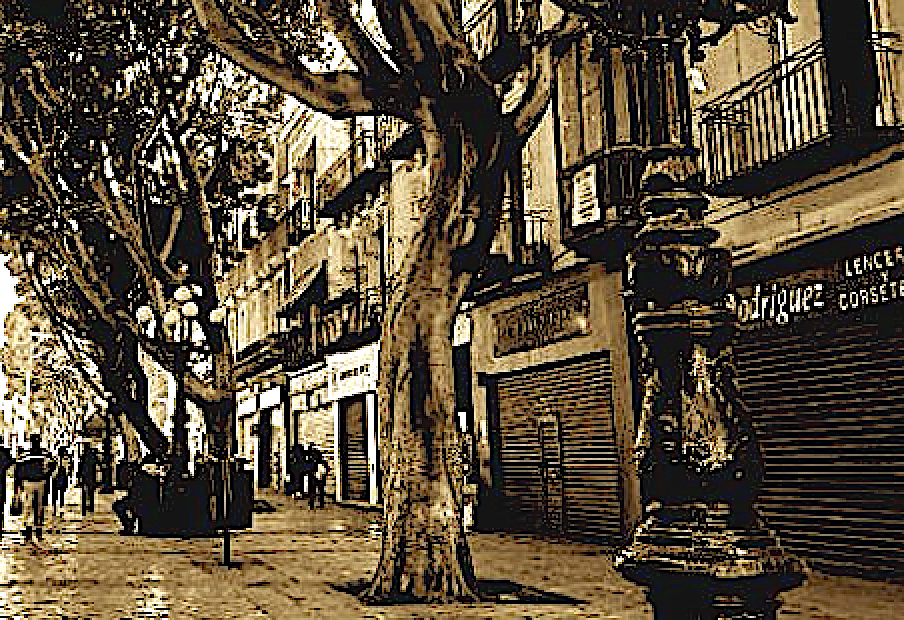Sacan a ambulantes de las calles ¿Por Cuánto tiempo?