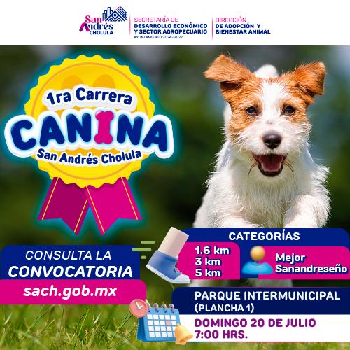 Lo que tú mascota esperaba, Primera Carrera Canina , aquí te lo contamos