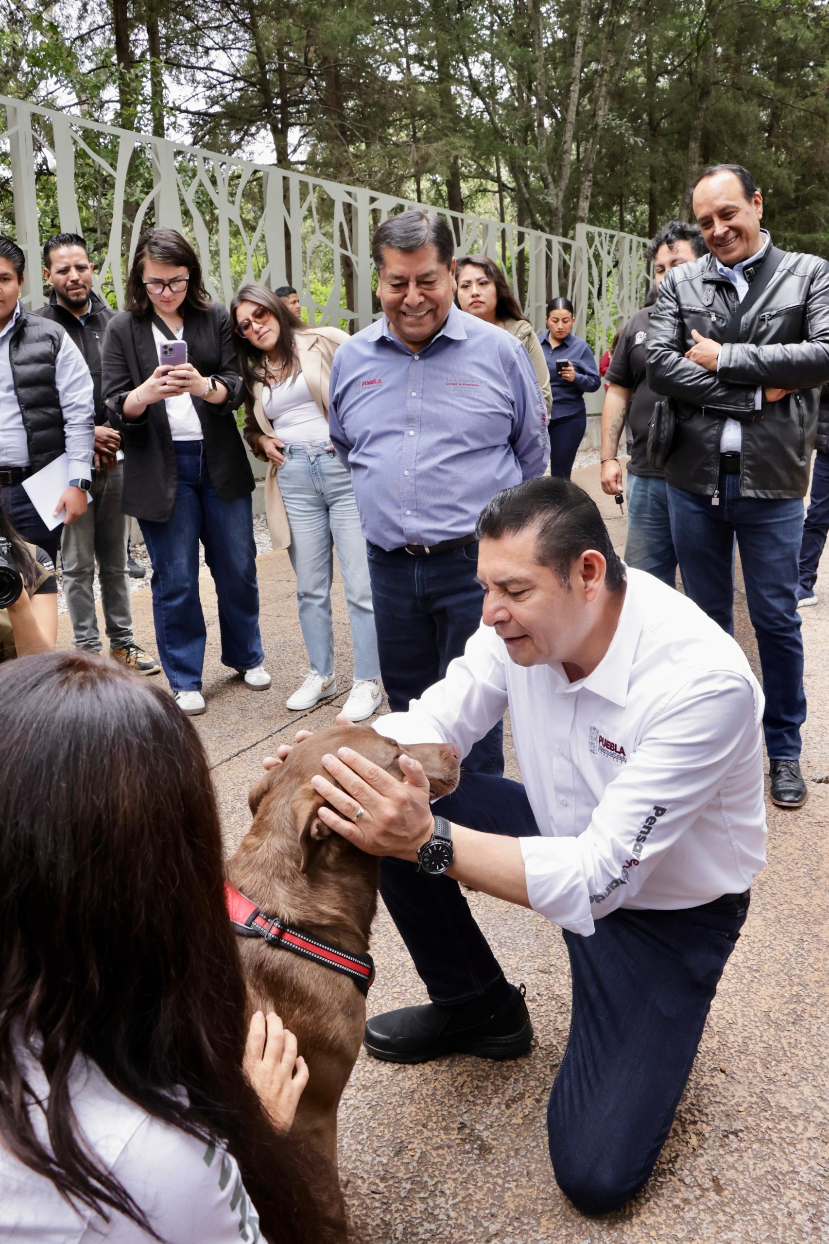 Bienestar animal es seguridad y conciencia para  los poblanos: Alejandro Armenta