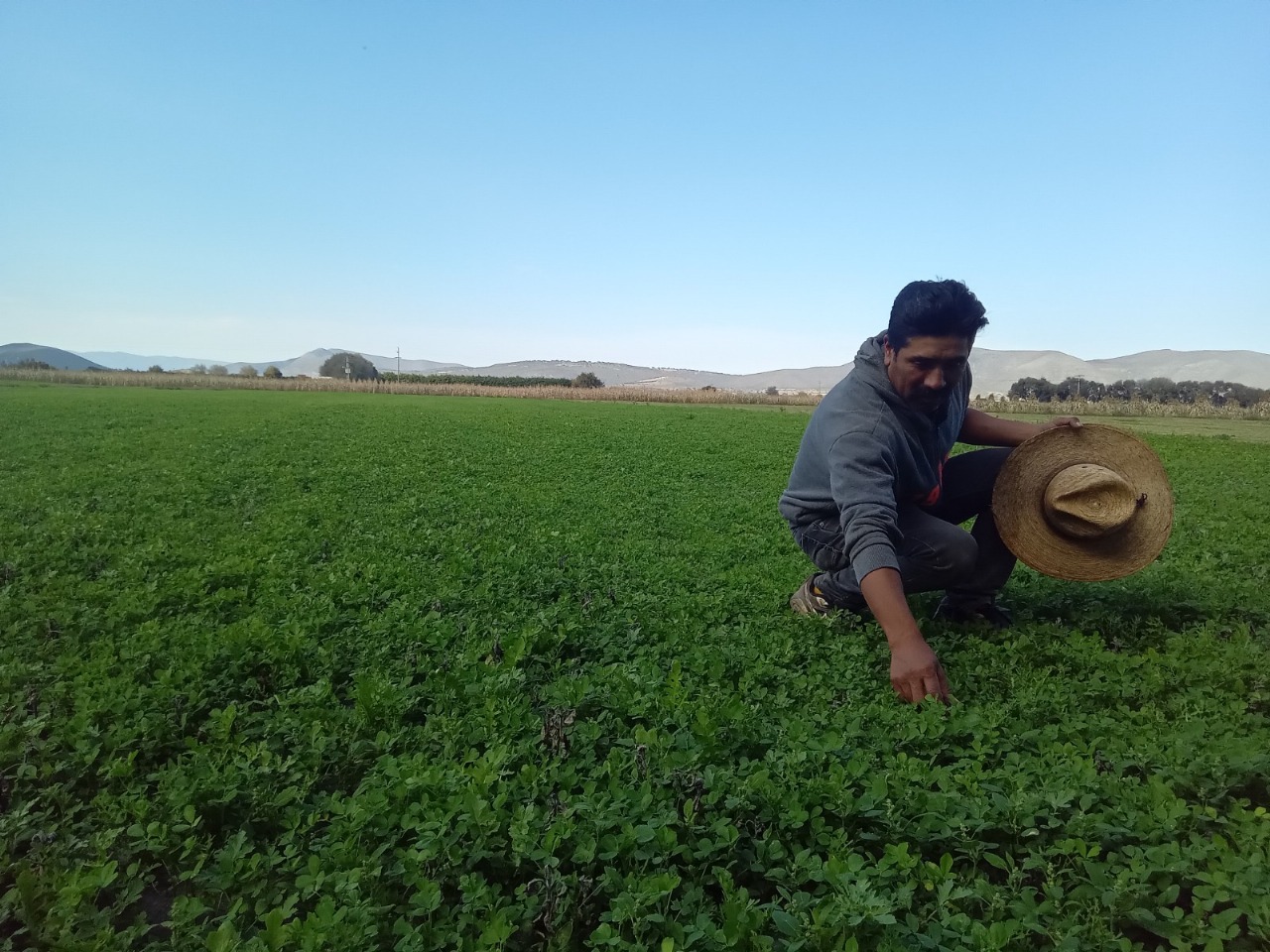 Impulsa Altosano Granjas Carroll la reconversión agrícola en Puebla y Veracruz