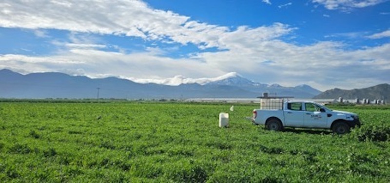 Impulsa Altosano Granjas Carroll la reconversión agrícola en Puebla y Veracruz 