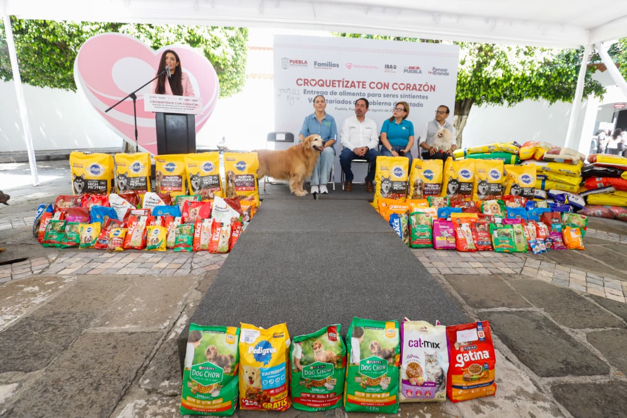 El sistema DIF realizó jornada de bienestar animal
